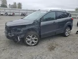 Salvage cars for sale at Arlington, WA auction: 2019 Ford Escape Titanium