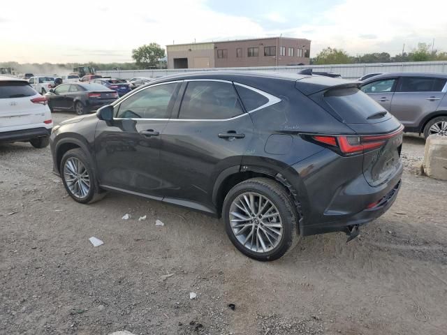 2024 Lexus NX 350 Luxury