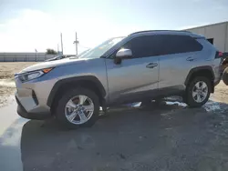 Salvage cars for sale from Copart Jacksonville, FL: 2021 Toyota Rav4 XLE