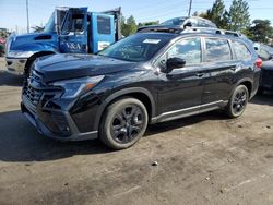 Salvage cars for sale at Denver, CO auction: 2024 Subaru Ascent Onyx Edition