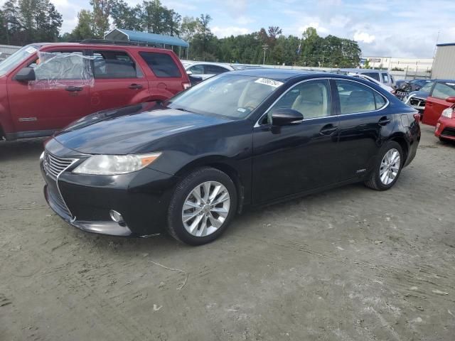 2013 Lexus ES 300H