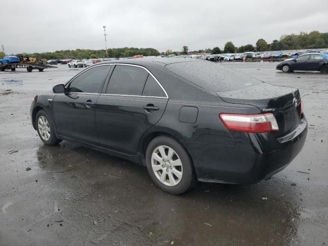 2009 Toyota Camry Hybrid