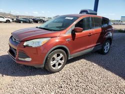 Salvage cars for sale at Phoenix, AZ auction: 2016 Ford Escape SE