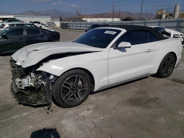 2019 Ford Mustang