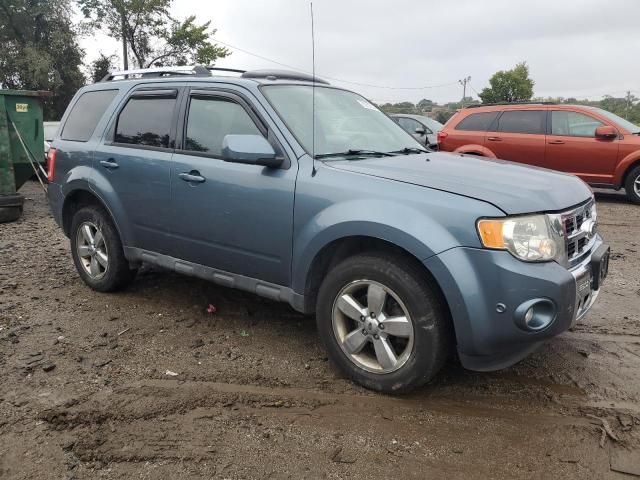 2010 Ford Escape Limited