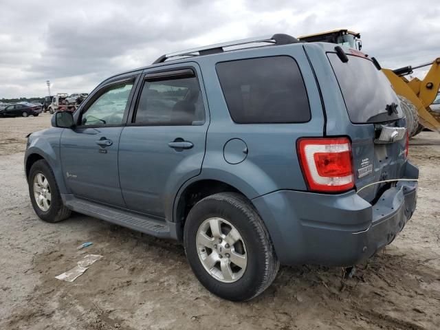 2011 Ford Escape Hybrid