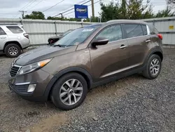 Salvage cars for sale at Hillsborough, NJ auction: 2013 KIA Sportage EX