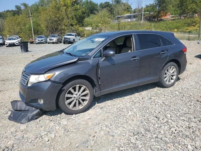 2010 Toyota Venza