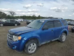 Ford salvage cars for sale: 2012 Ford Escape XLT