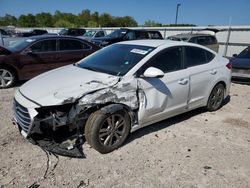 Salvage cars for sale at Lawrenceburg, KY auction: 2017 Hyundai Elantra SE