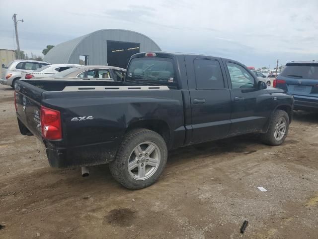 2010 Dodge Dakota SXT