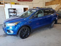 Salvage cars for sale from Copart Ham Lake, MN: 2019 Ford Escape SE