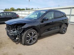 Salvage cars for sale at Pennsburg, PA auction: 2022 Ford Escape SE