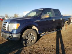 Salvage trucks for sale at Rocky View County, AB auction: 2009 Ford F150 Supercrew