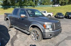 Ford salvage cars for sale: 2012 Ford F150 Supercrew