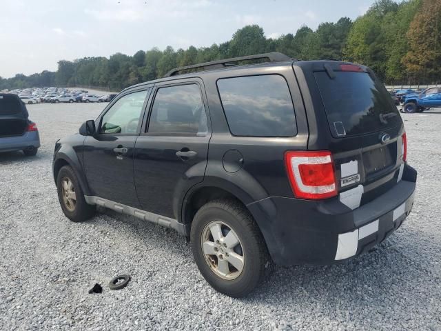 2009 Ford Escape XLT