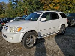 Toyota Vehiculos salvage en venta: 2005 Toyota Sequoia Limited