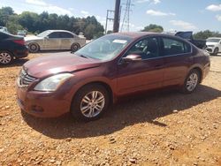 Nissan Vehiculos salvage en venta: 2010 Nissan Altima Base