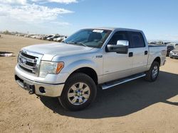 Salvage cars for sale at Brighton, CO auction: 2013 Ford F150 Supercrew