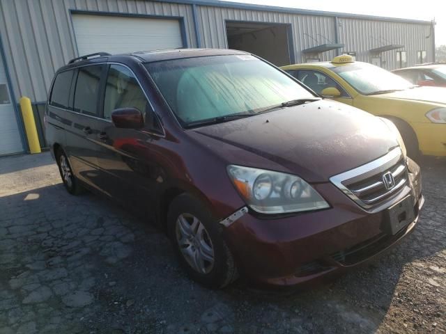 2007 Honda Odyssey EXL