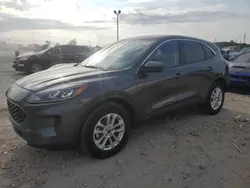 Salvage cars for sale at Indianapolis, IN auction: 2020 Ford Escape SE