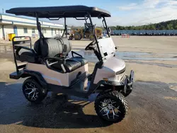 Salvage trucks for sale at Harleyville, SC auction: 2024 Denali E Golf Car