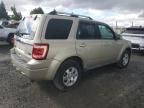 2010 Ford Escape Limited