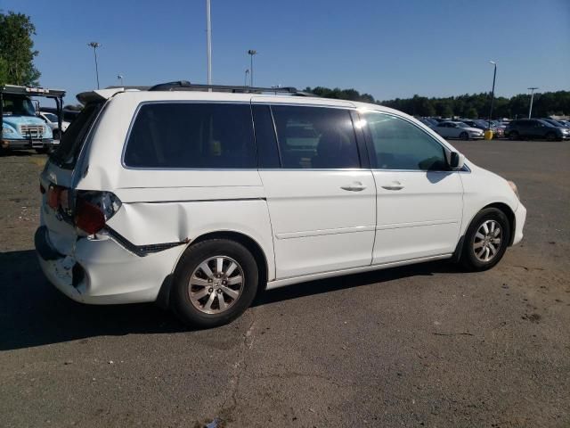 2008 Honda Odyssey EXL