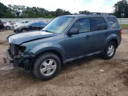 Salvage cars for sale at Theodore, AL auction: 2012 Ford Escape XLT