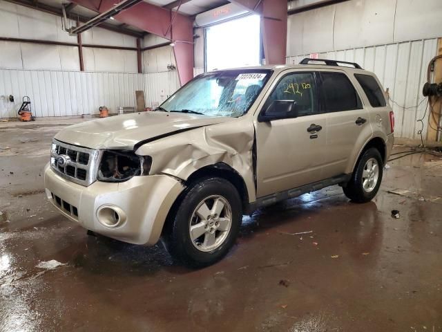 2010 Ford Escape XLT