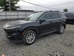 Salvage cars for sale at Windsor, NJ auction: 2024 Honda CR-V EXL