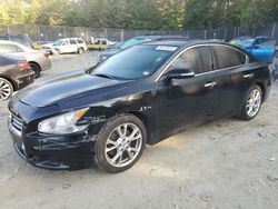 2012 Nissan Maxima S en venta en Waldorf, MD