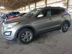 Salvage cars for sale at Phoenix, AZ auction: 2014 Hyundai Santa FE Sport