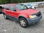 2001 Ford Escape XLT