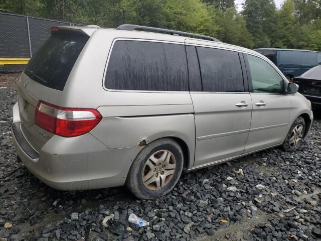 2005 Honda Odyssey EXL