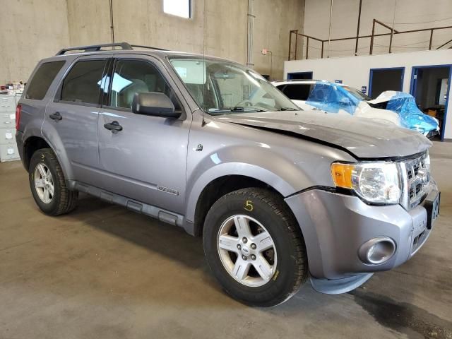 2008 Ford Escape HEV