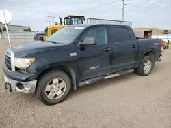 2011 Toyota Tundra Crewmax SR5 en venta en Bismarck, ND