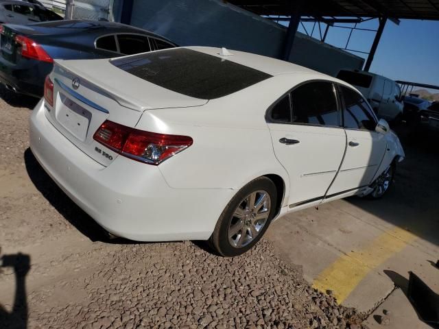 2010 Lexus ES 350