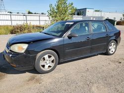 Salvage cars for sale at London, ON auction: 2005 Chevrolet Malibu Maxx LT