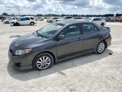 Toyota Vehiculos salvage en venta: 2010 Toyota Corolla Base