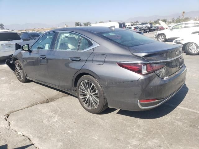 2024 Lexus ES 300H Base