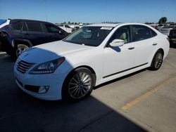 Salvage cars for sale at Sacramento, CA auction: 2015 Hyundai Equus Signature