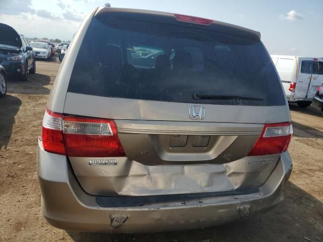 2005 Honda Odyssey EXL