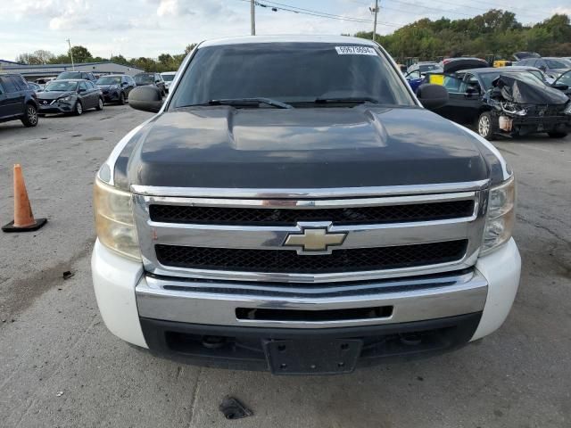 2010 Chevrolet Silverado C1500