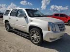 2013 Cadillac Escalade Premium