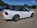 2001 Ford Mustang Cobra SVT