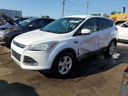 Salvage cars for sale at Chicago Heights, IL auction: 2016 Ford Escape SE