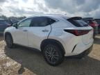 2023 Lexus NX 250