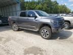 2019 Toyota Tundra Crewmax SR5