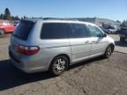 2005 Honda Odyssey EXL